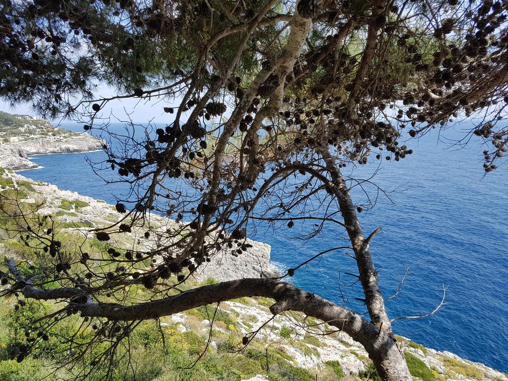 Villa Bocca Del Pozzo Gagliano del Capo Dış mekan fotoğraf