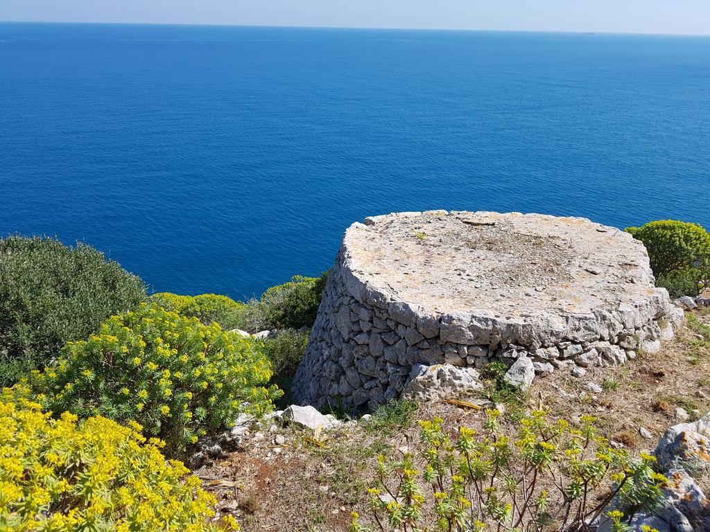 Villa Bocca Del Pozzo Gagliano del Capo Dış mekan fotoğraf
