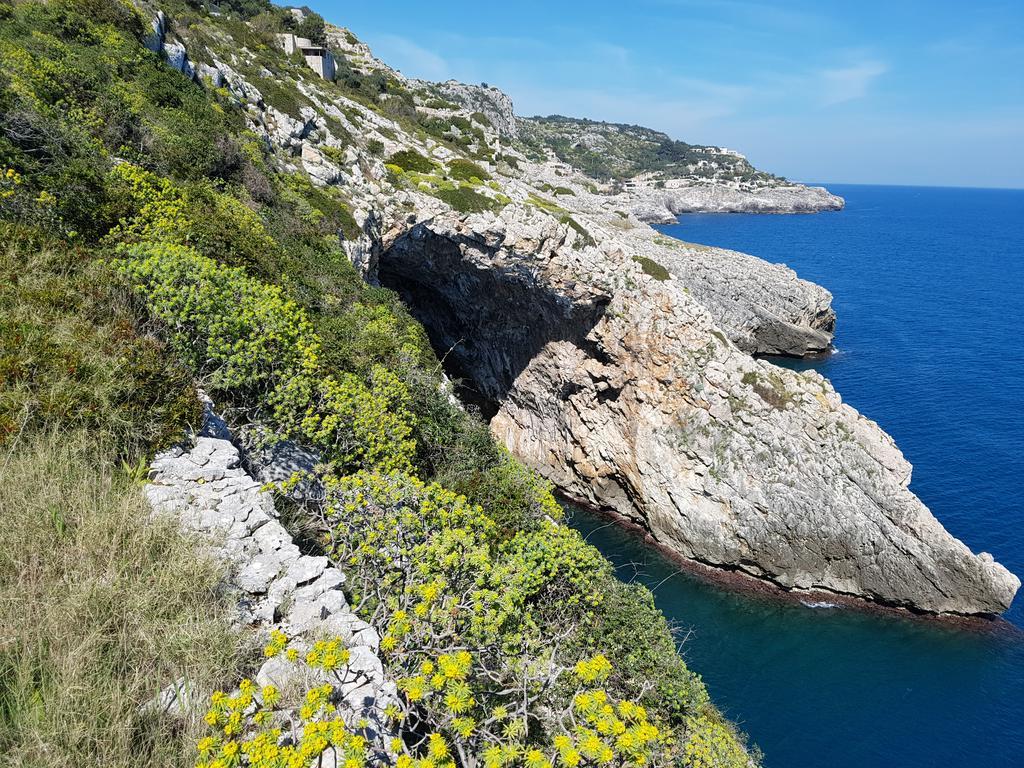 Villa Bocca Del Pozzo Gagliano del Capo Dış mekan fotoğraf