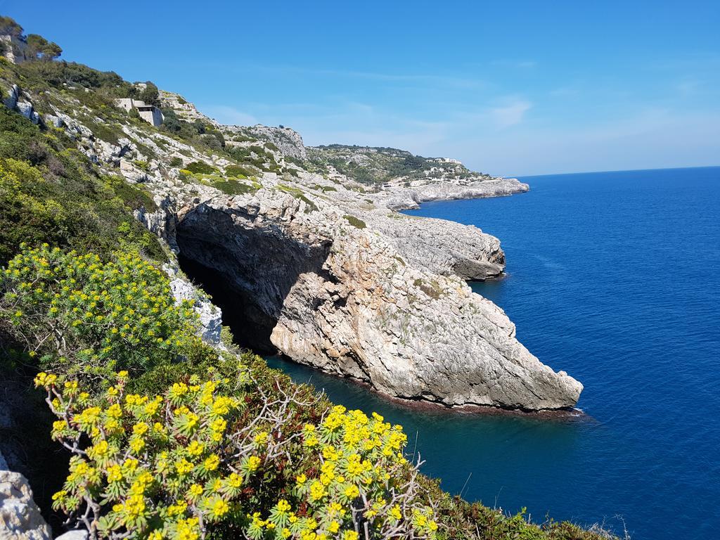 Villa Bocca Del Pozzo Gagliano del Capo Dış mekan fotoğraf