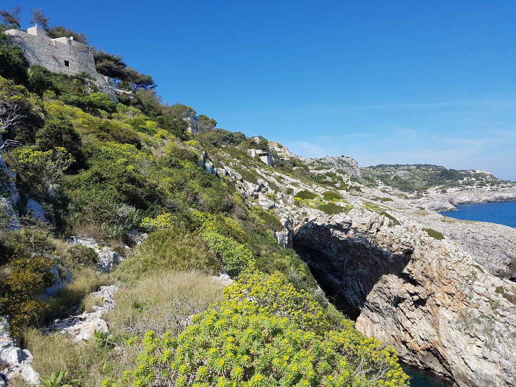 Villa Bocca Del Pozzo Gagliano del Capo Dış mekan fotoğraf