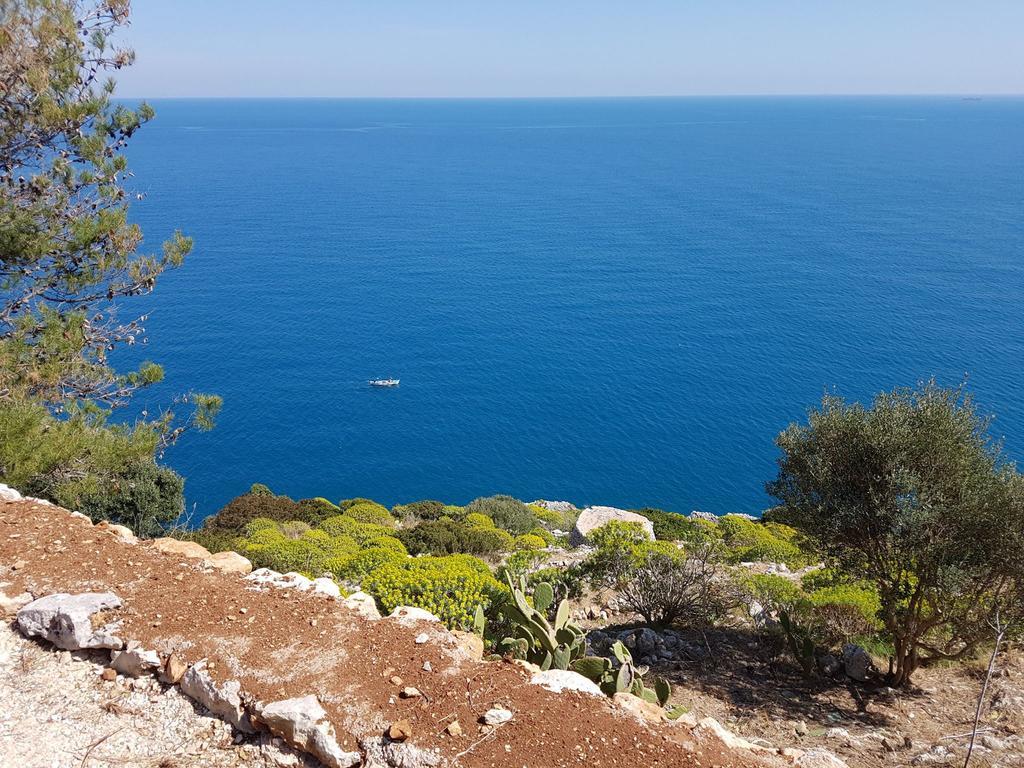 Villa Bocca Del Pozzo Gagliano del Capo Dış mekan fotoğraf