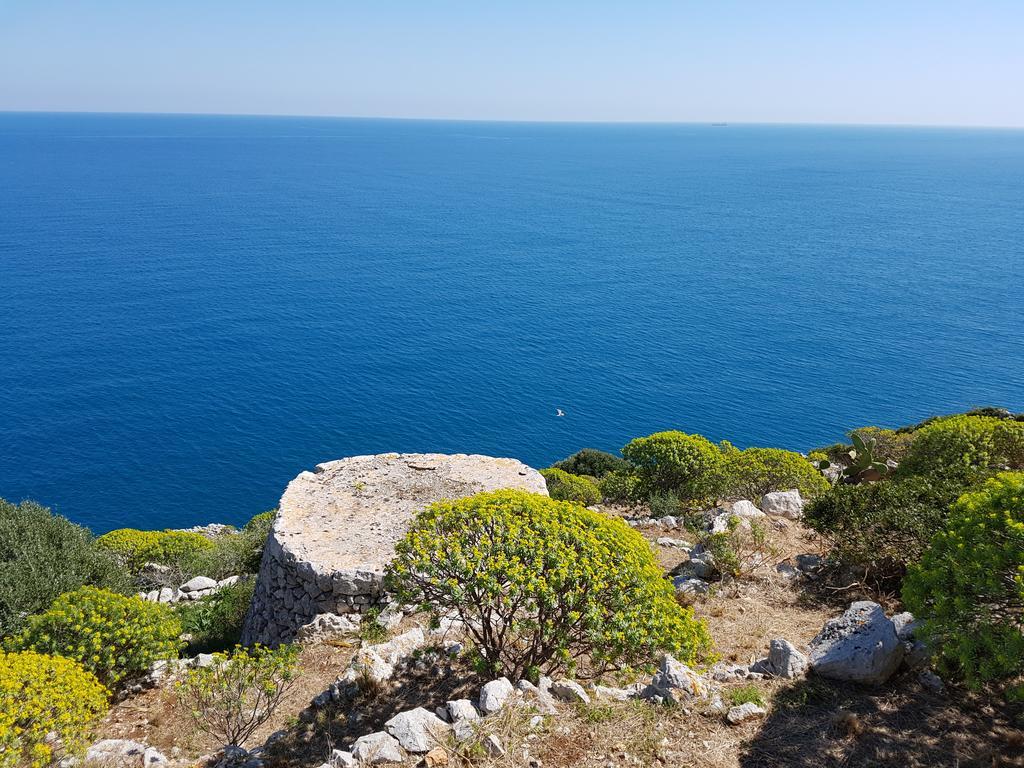 Villa Bocca Del Pozzo Gagliano del Capo Dış mekan fotoğraf