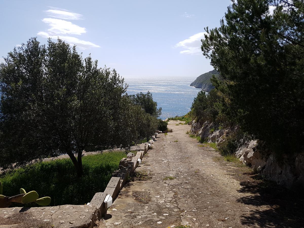 Villa Bocca Del Pozzo Gagliano del Capo Dış mekan fotoğraf